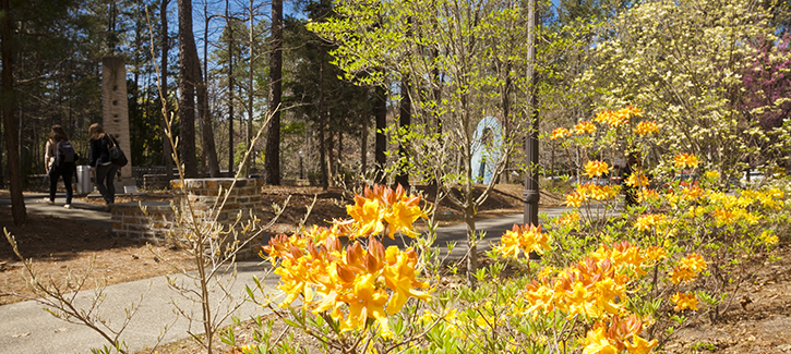 Beber Sculpture Garden