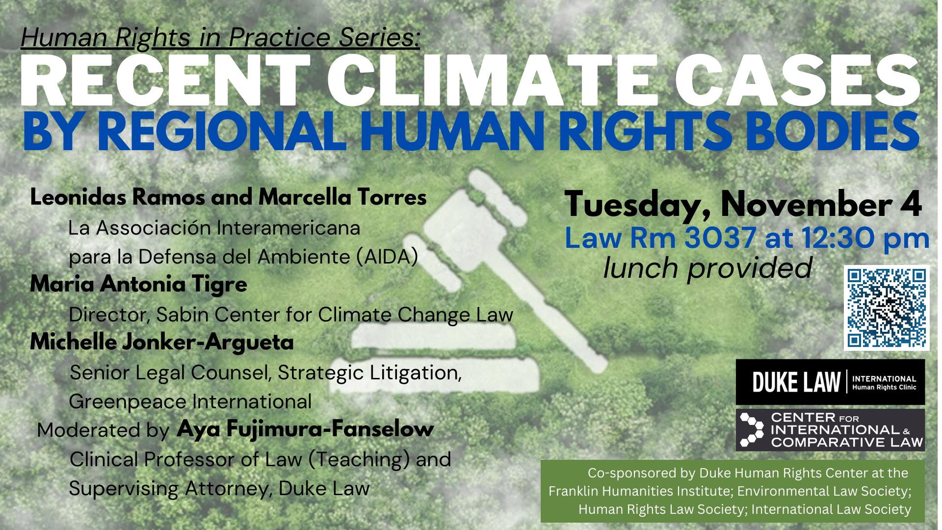 Recent Climate Cases by Regional Human Rights Bodies