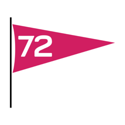 Class of 1972 Pennant
