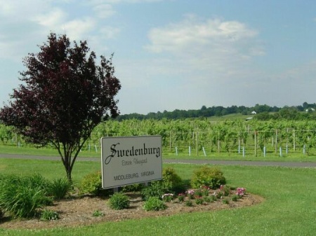 Sign for the Swedenburg Winery, Middleburg, VA